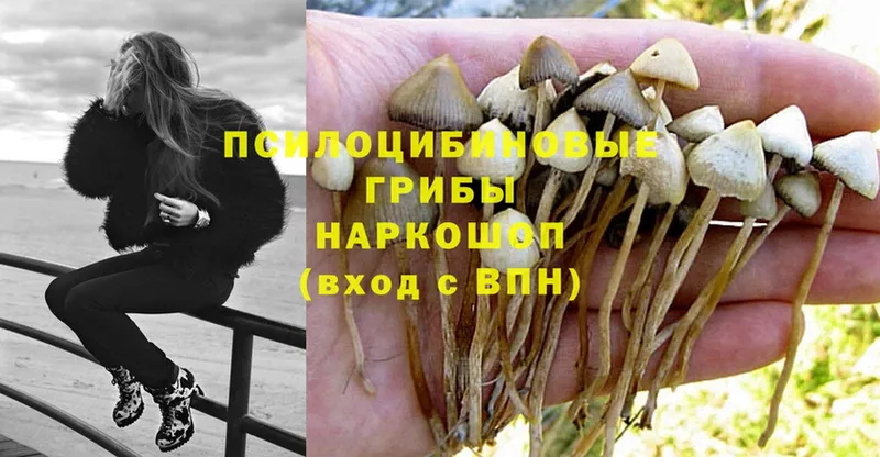 Галлюциногенные грибы Magic Shrooms  наркота  Белая Холуница 